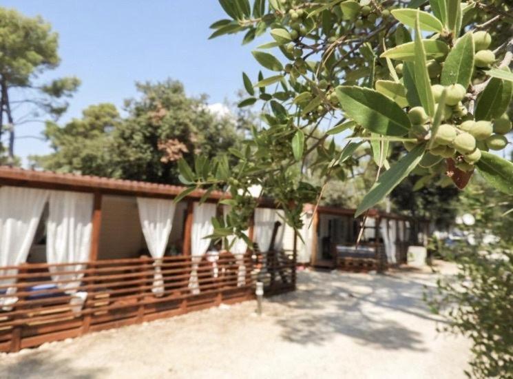 Mobile Home Cube, 3 Bedrooms, Free Parking, Wifi Biograd Na Moru Εξωτερικό φωτογραφία